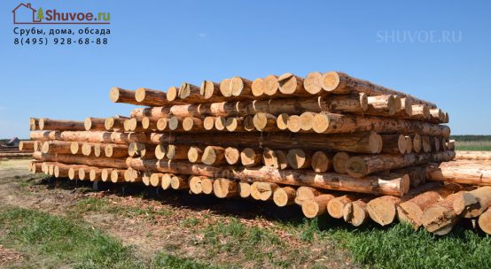 Cохраняем зимний лес на лето!